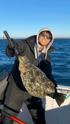 ヒラメの釣果