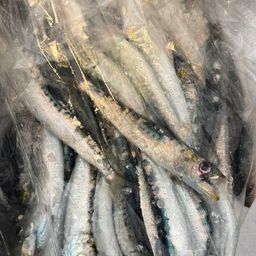 イワシ