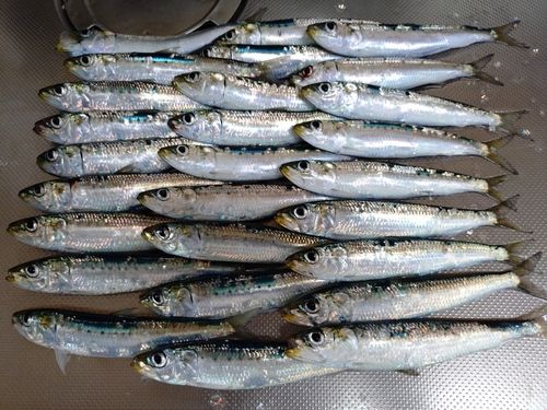 小名浜港アクアマリンふくしま周辺