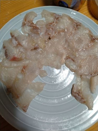 アメリカナマズの釣果