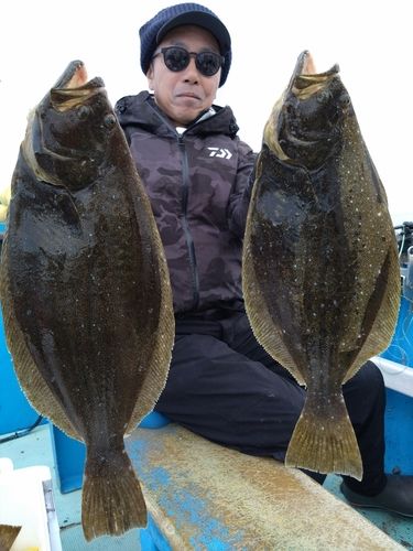 ヒラメの釣果