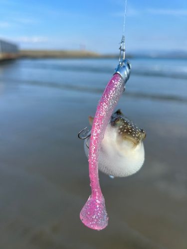 志賀島赤灯台東波止