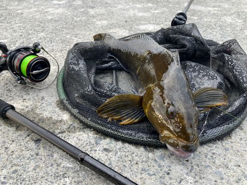 三陸海岸（岩手）