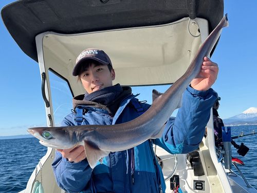 エドアブラザメの釣果