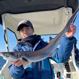 エドアブラザメ