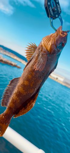 相馬港釣り桟橋