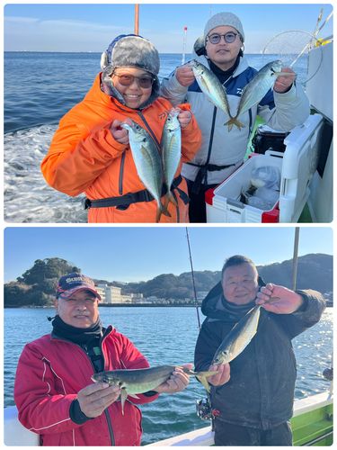 マアジの釣果