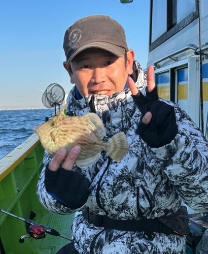 カワハギの釣果