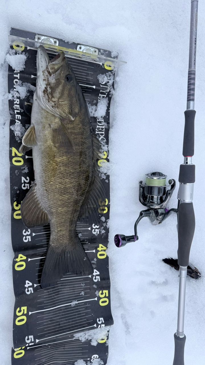 DAIWA 22ハートランド AGS 852ML+FS-SV AGS22の最安値・インプレ・釣果