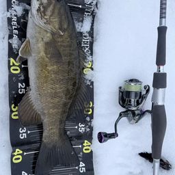 スモールマウスバス