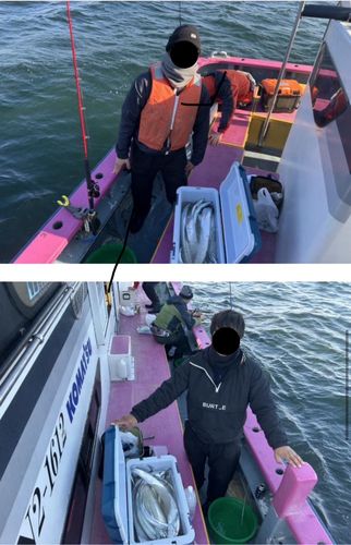 タチウオの釣果