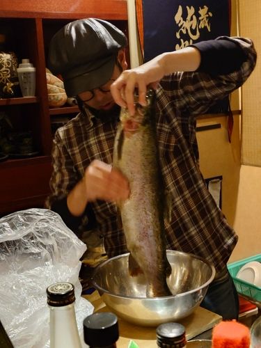 ニジマスの釣果