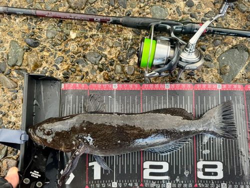 三陸海岸（岩手）