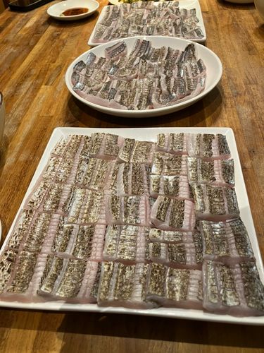 タチウオの釣果