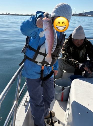 シロアマダイの釣果