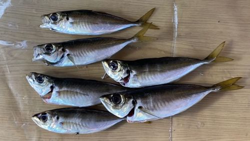 小名浜港アクアマリンふくしま周辺