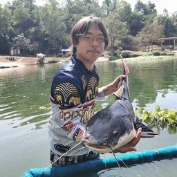 レッドテールキャットフィッシュ