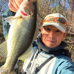 ラージマウスバス