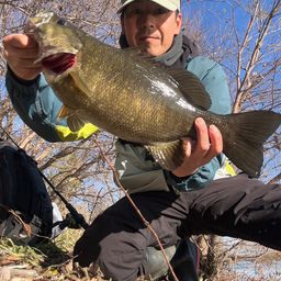 スモールマウスバス