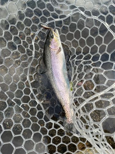 川場キングダムフィッシング