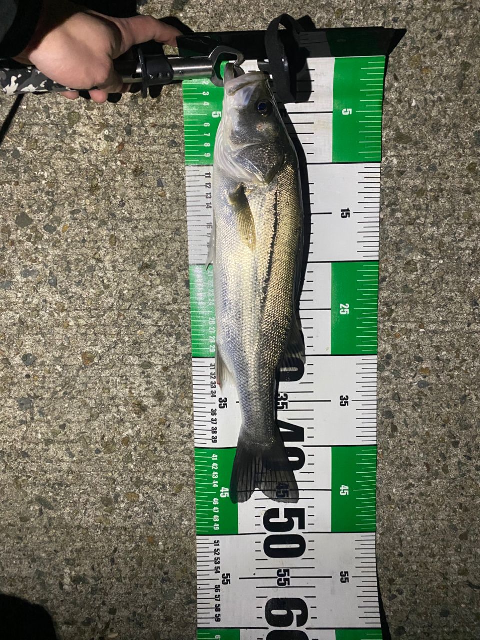 DAIWA 18ルアーニスト 96MHの最安値・インプレ・釣果 | 本音の口コミが