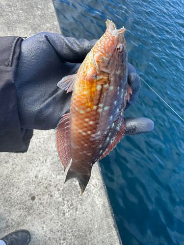 三陸海岸（宮城）