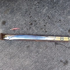 タチウオの釣果