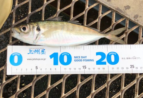 大黒海づり施設