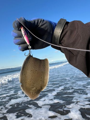 東京湾（富津〜金谷）