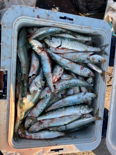 小名浜港アクアマリンふくしま周辺