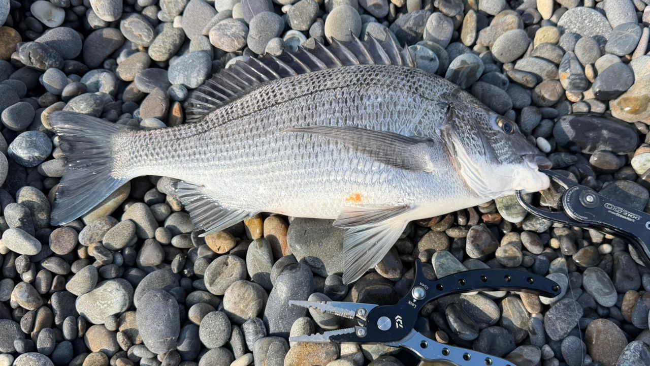 SHIMANO 23カルカッタコンクエスト MD 401XGLHの最安値・インプレ