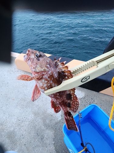 御崎漁港（宮城）