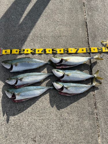 新舞子海岸（いわき）