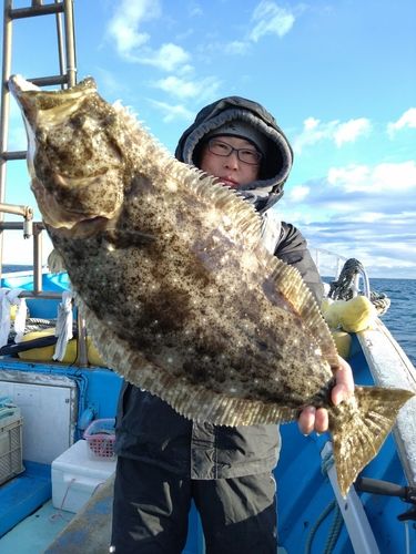 ヒラメの釣果