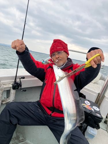 タチウオの釣果