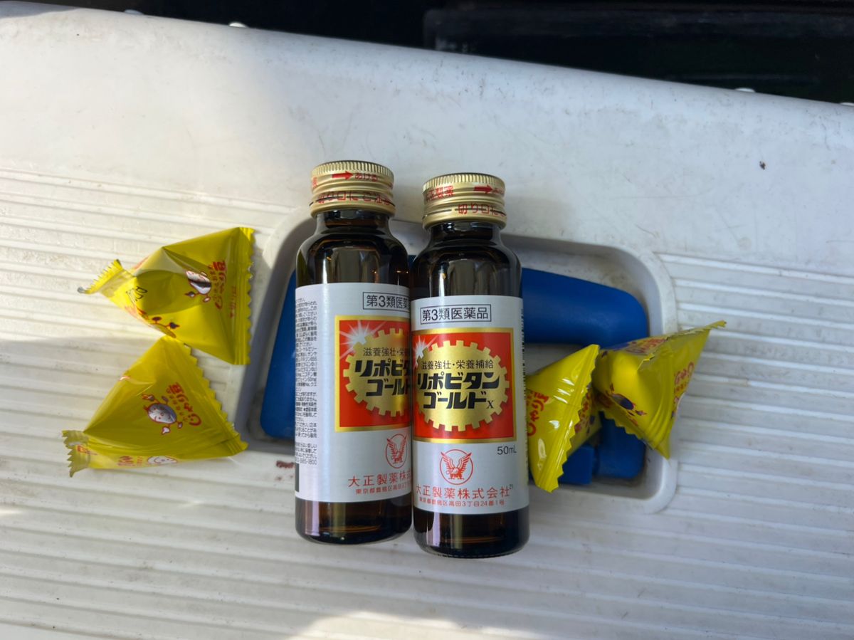 政信丸さんの釣果 3枚目の画像