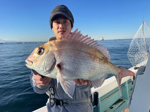 マダイの釣果