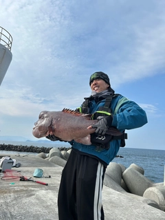 コブダイの釣果