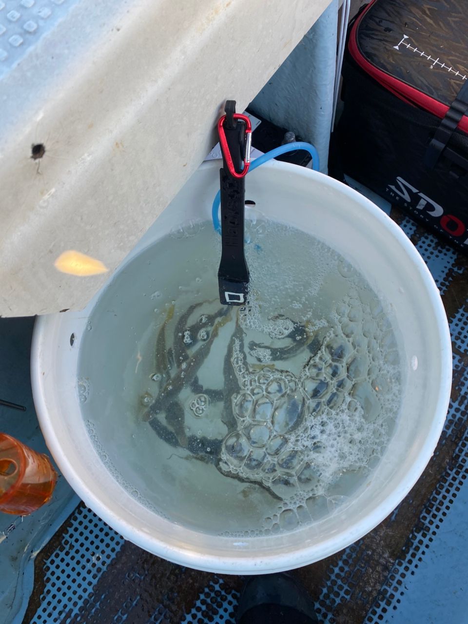 ざわさん@お散歩日記さんの釣果 2枚目の画像