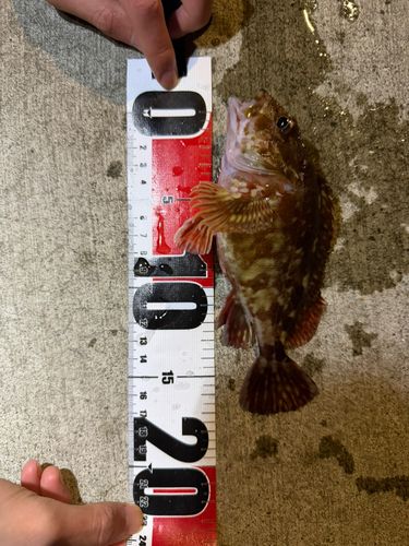 金沢水際線緑地（福浦岸壁）