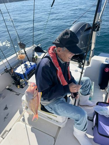 イトヨリダイの釣果