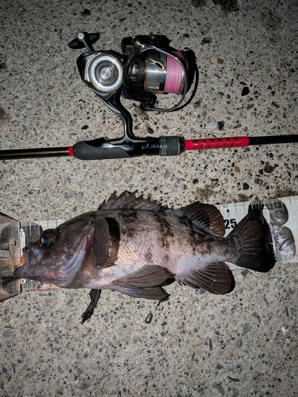 Megabass 20礁楽 SL-82MLSの最安値・インプレ・釣果 | 本音の口コミが