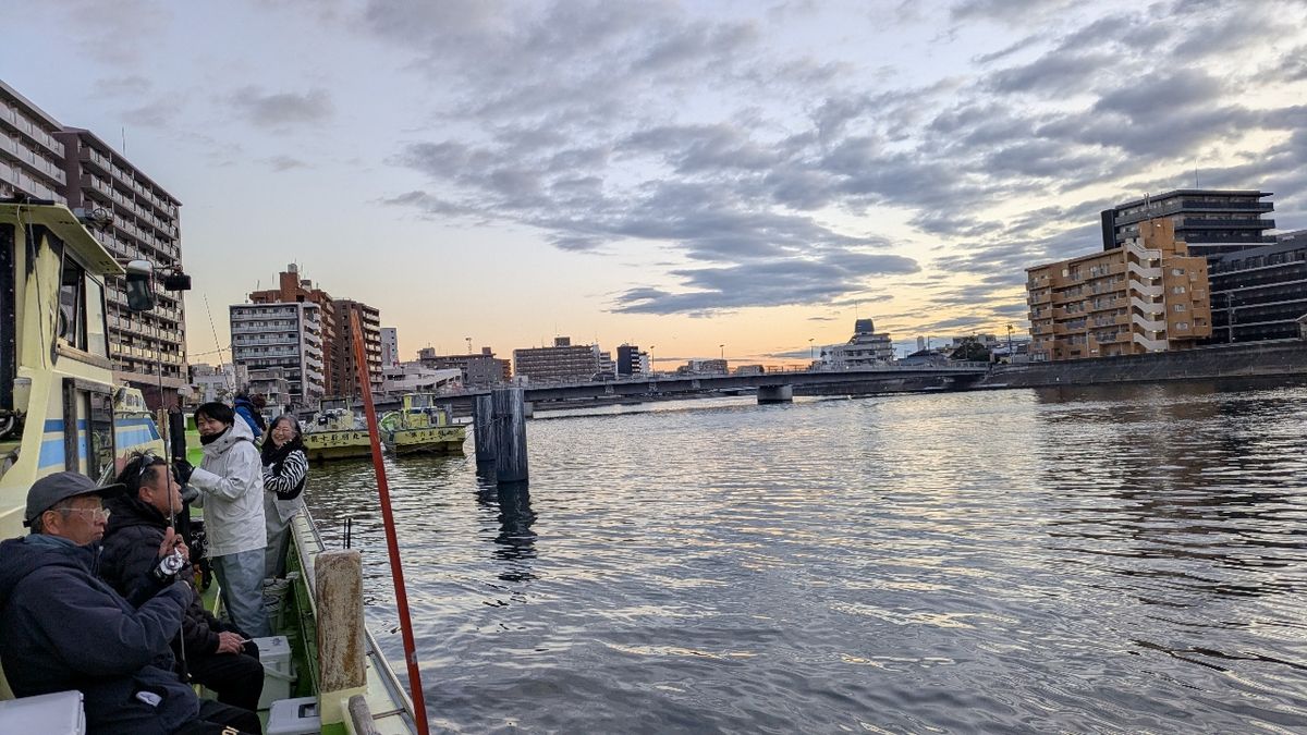 釣りか猫かさんの釣果 2枚目の画像