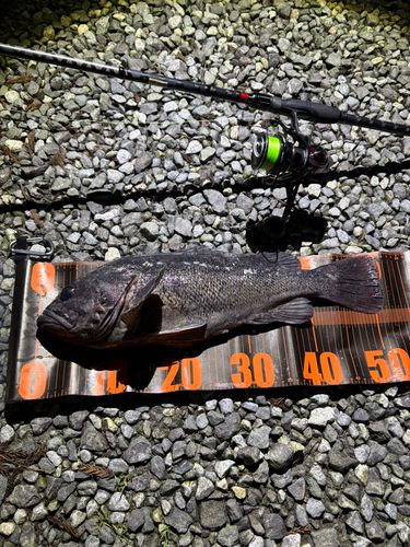 三陸海岸（宮城）