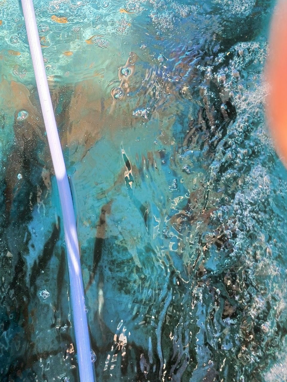 アングラ～たつさんの釣果 1枚目の画像