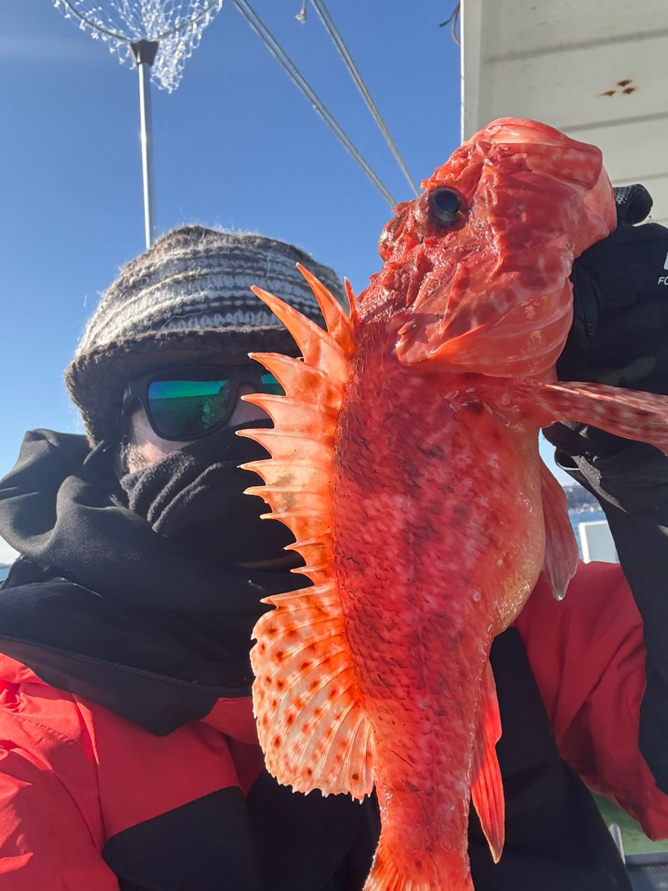 ユタさんさんの釣果 1枚目の画像