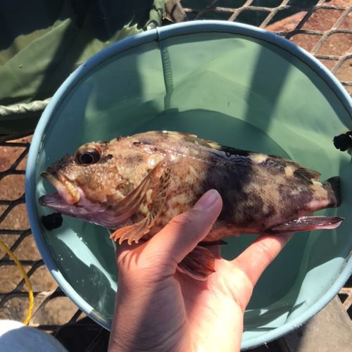 大黒海づり施設