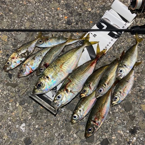 神戸空港親水護岸