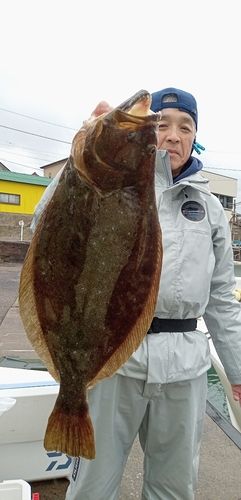 ヒラメの釣果
