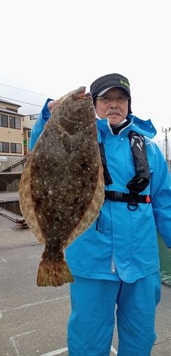 ヒラメの釣果